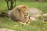 leipzig zoo-01_07_2011_zoo_allgemein_327